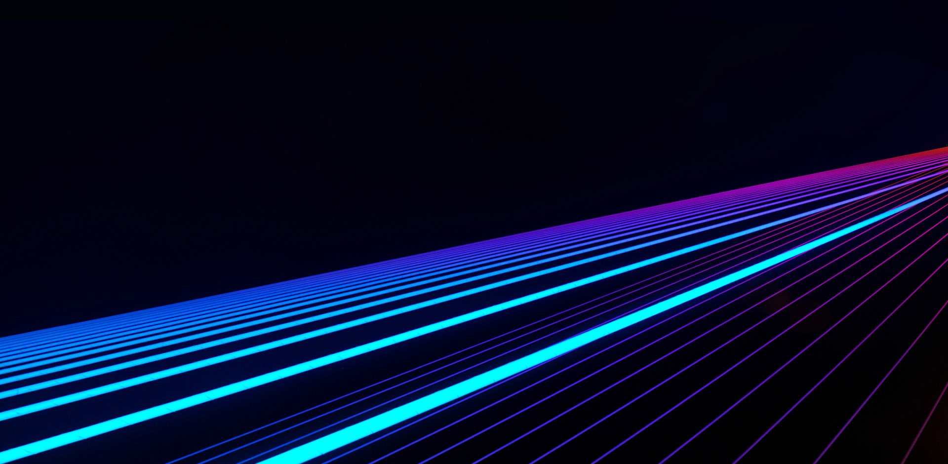 xc sports(中国区)-官方网站